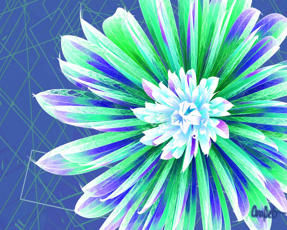 video placeholder image