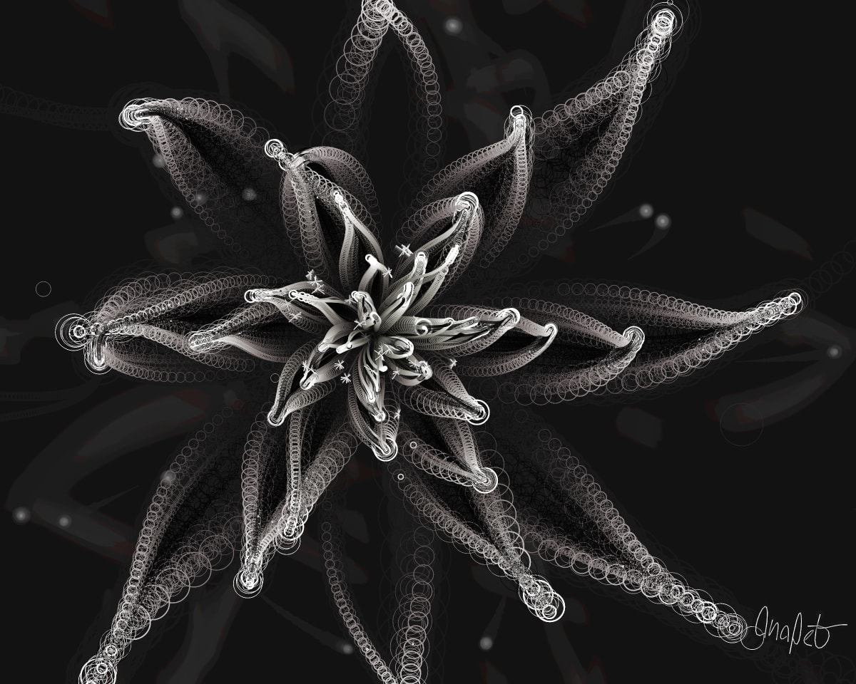 video placeholder image