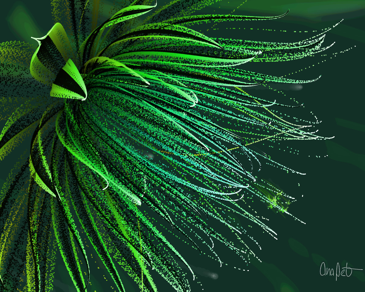 video placeholder image