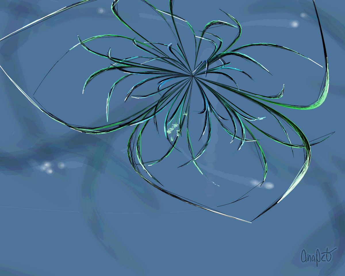 video placeholder image