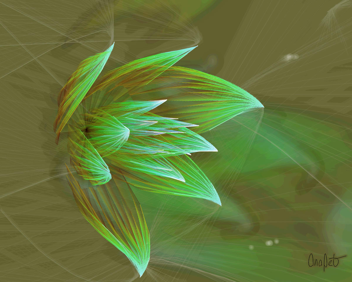 video placeholder image