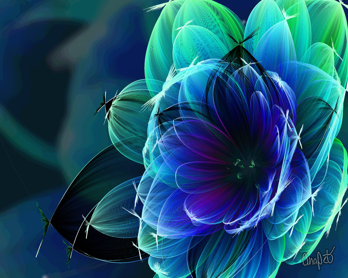 video placeholder image