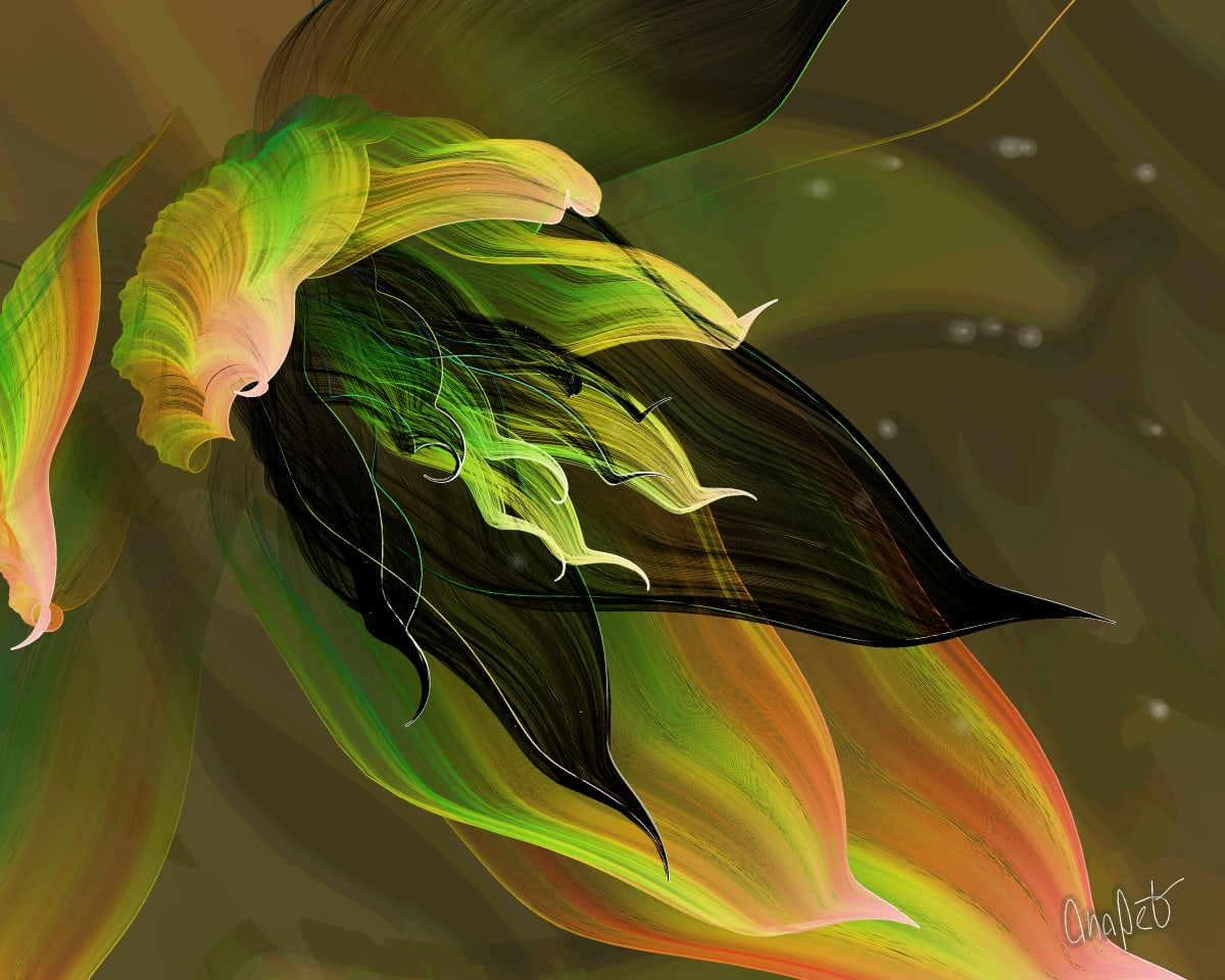 video placeholder image