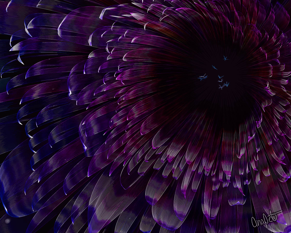 video placeholder image