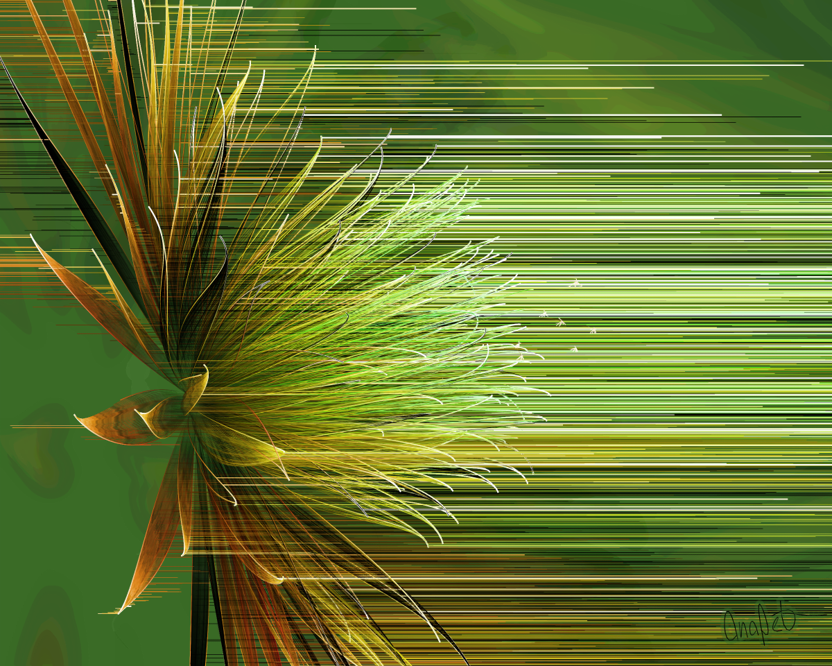 video placeholder image