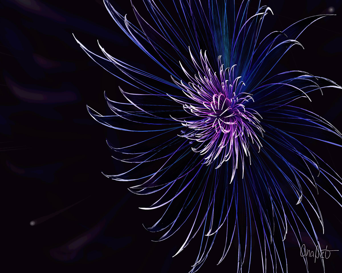 video placeholder image