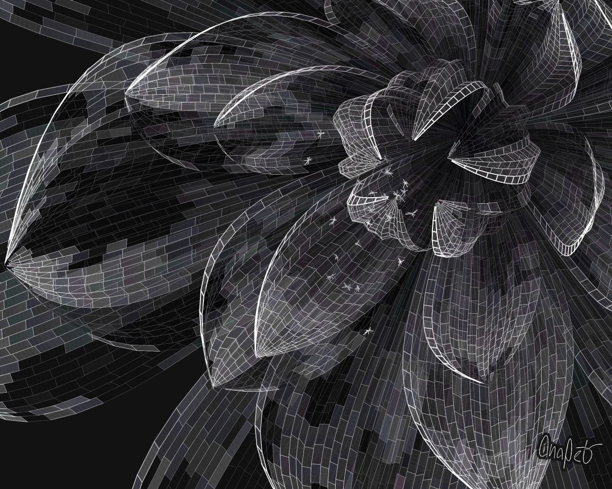 video placeholder image