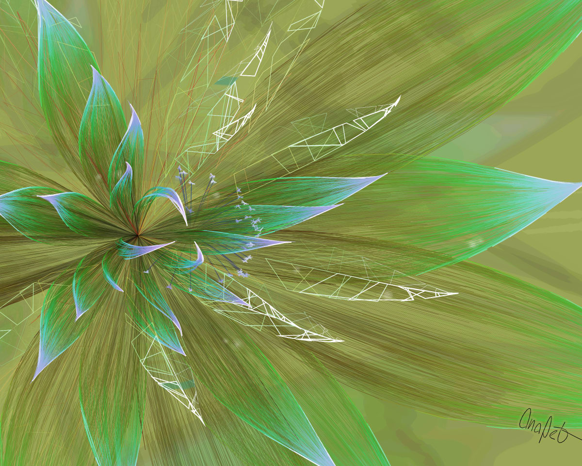 video placeholder image