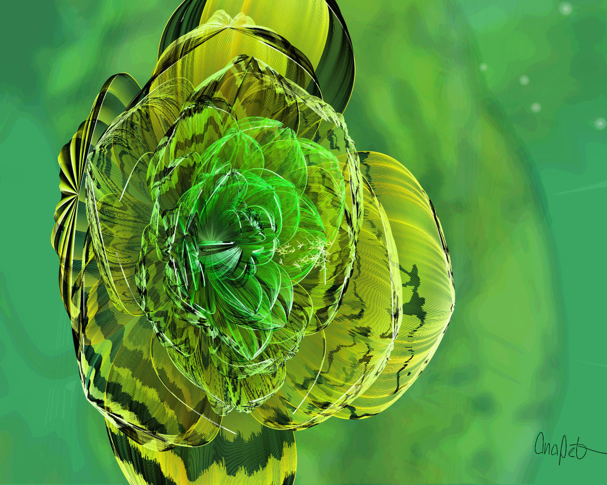 video placeholder image