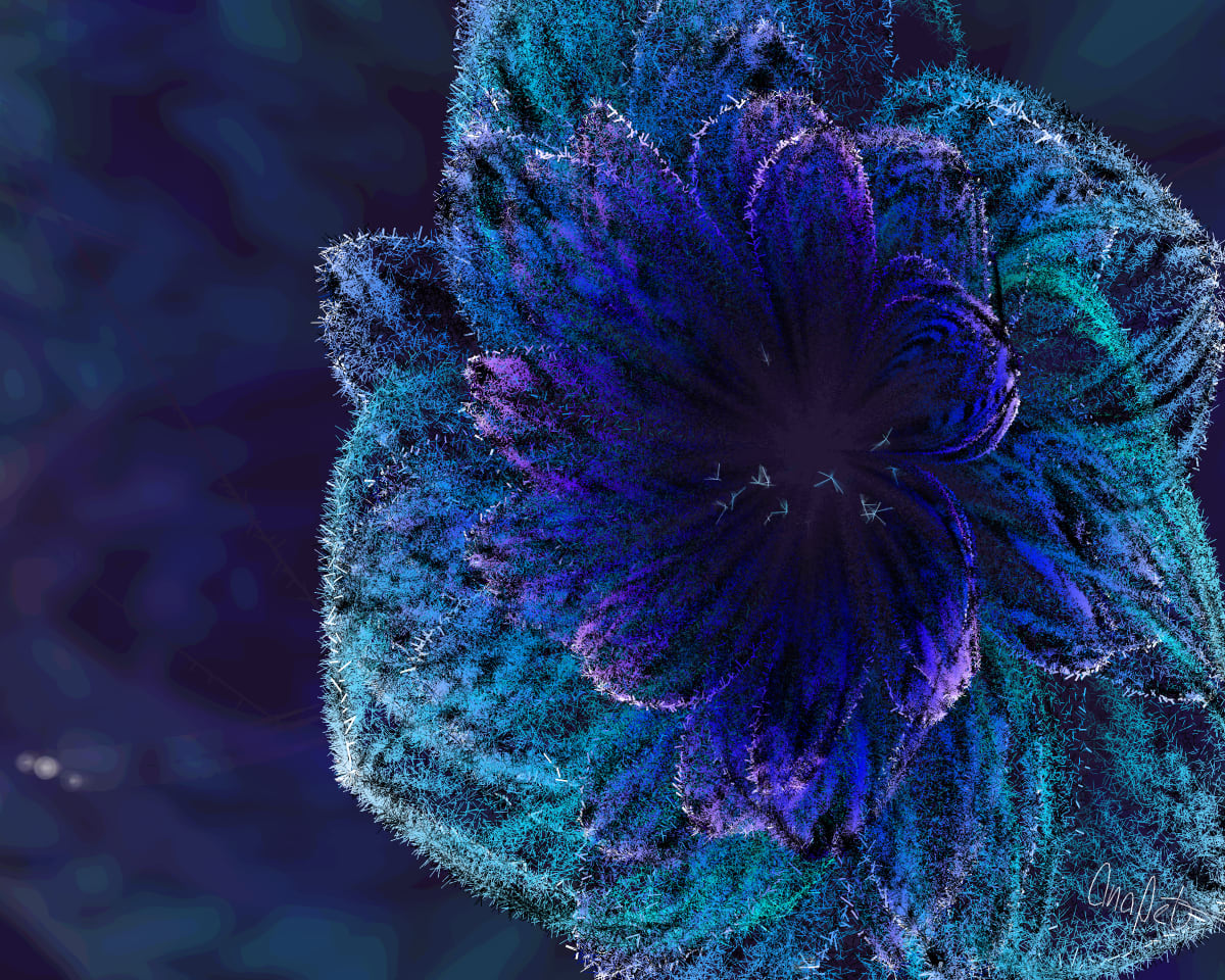 video placeholder image