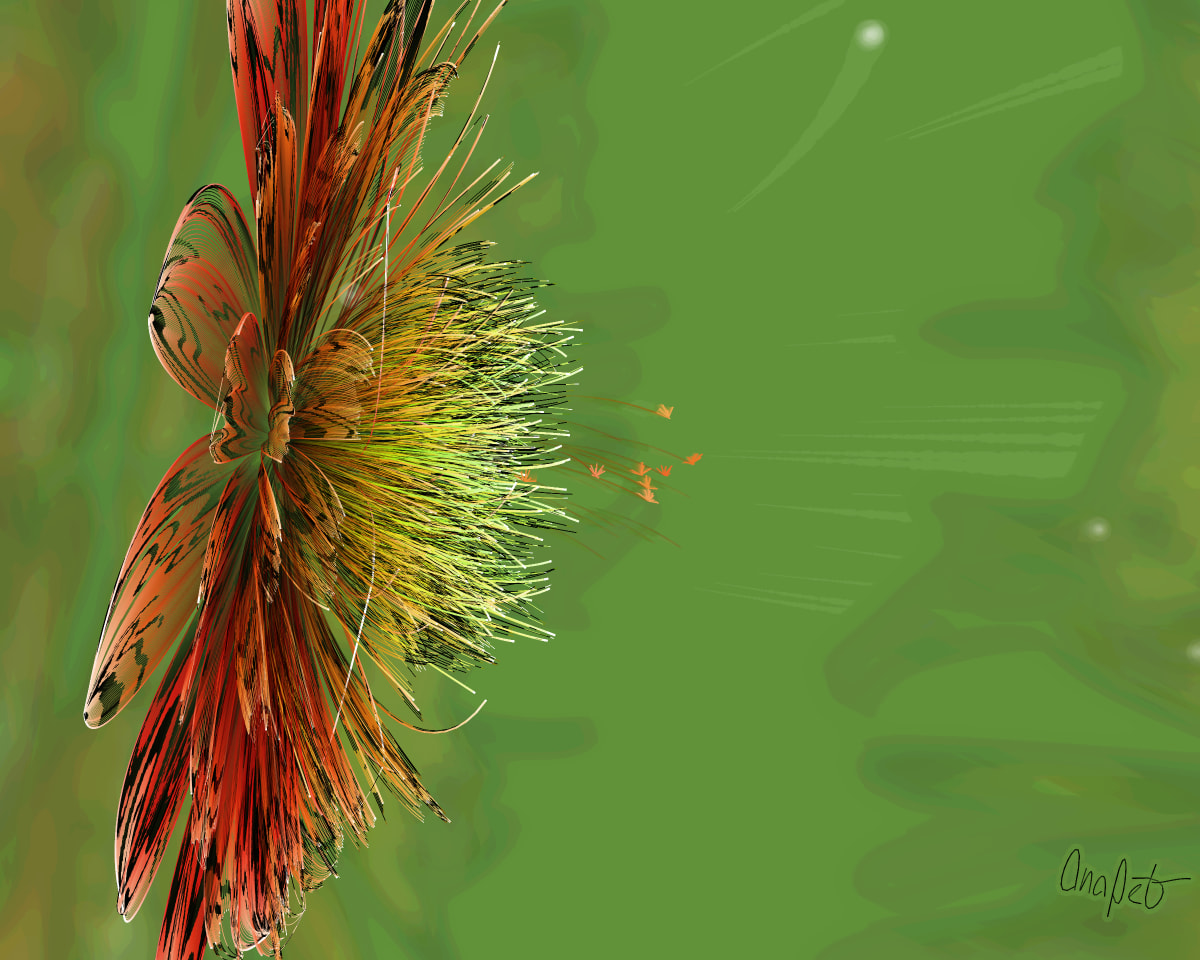 video placeholder image