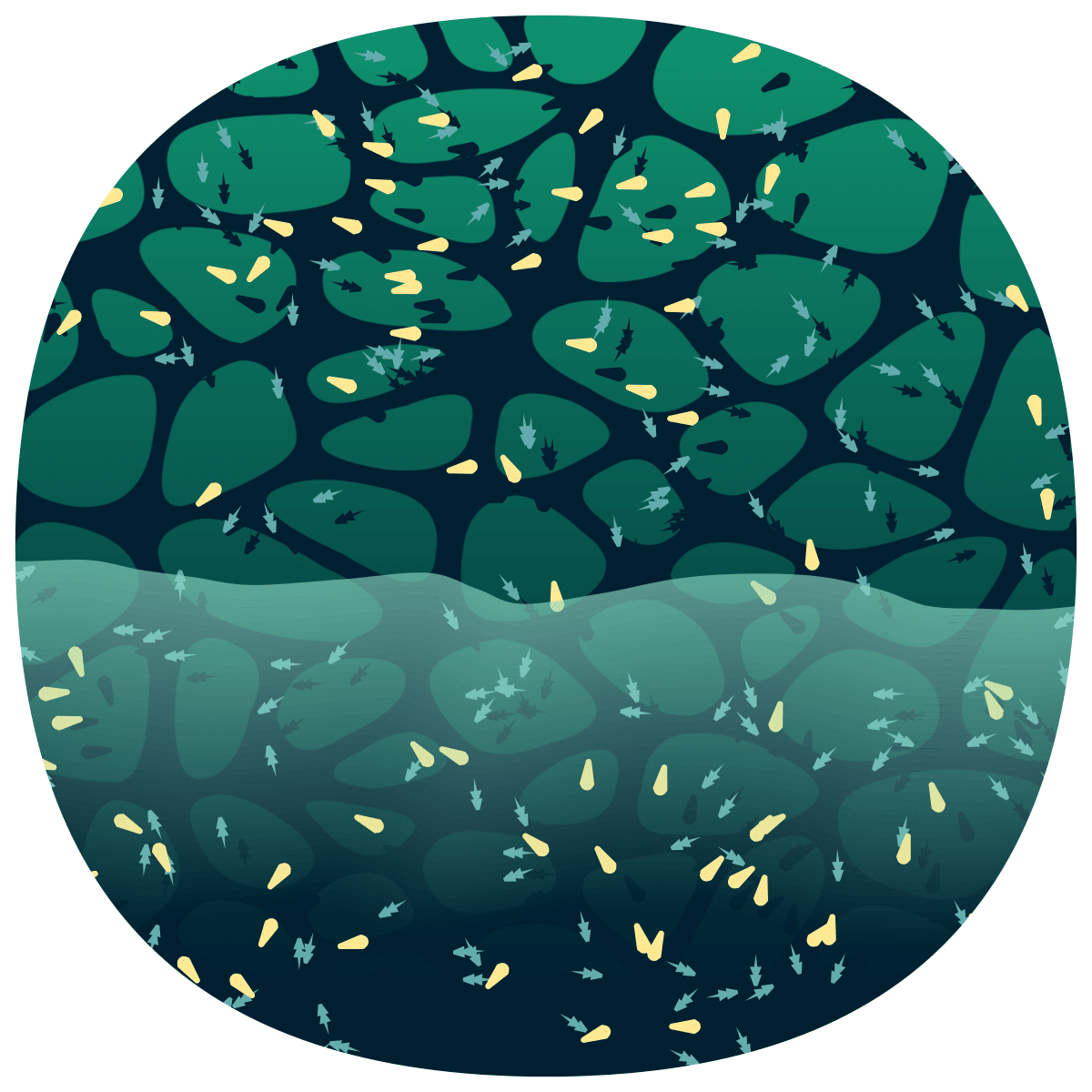 video placeholder image