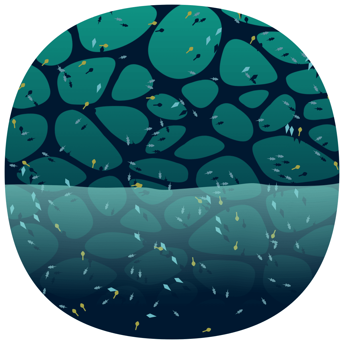 video placeholder image