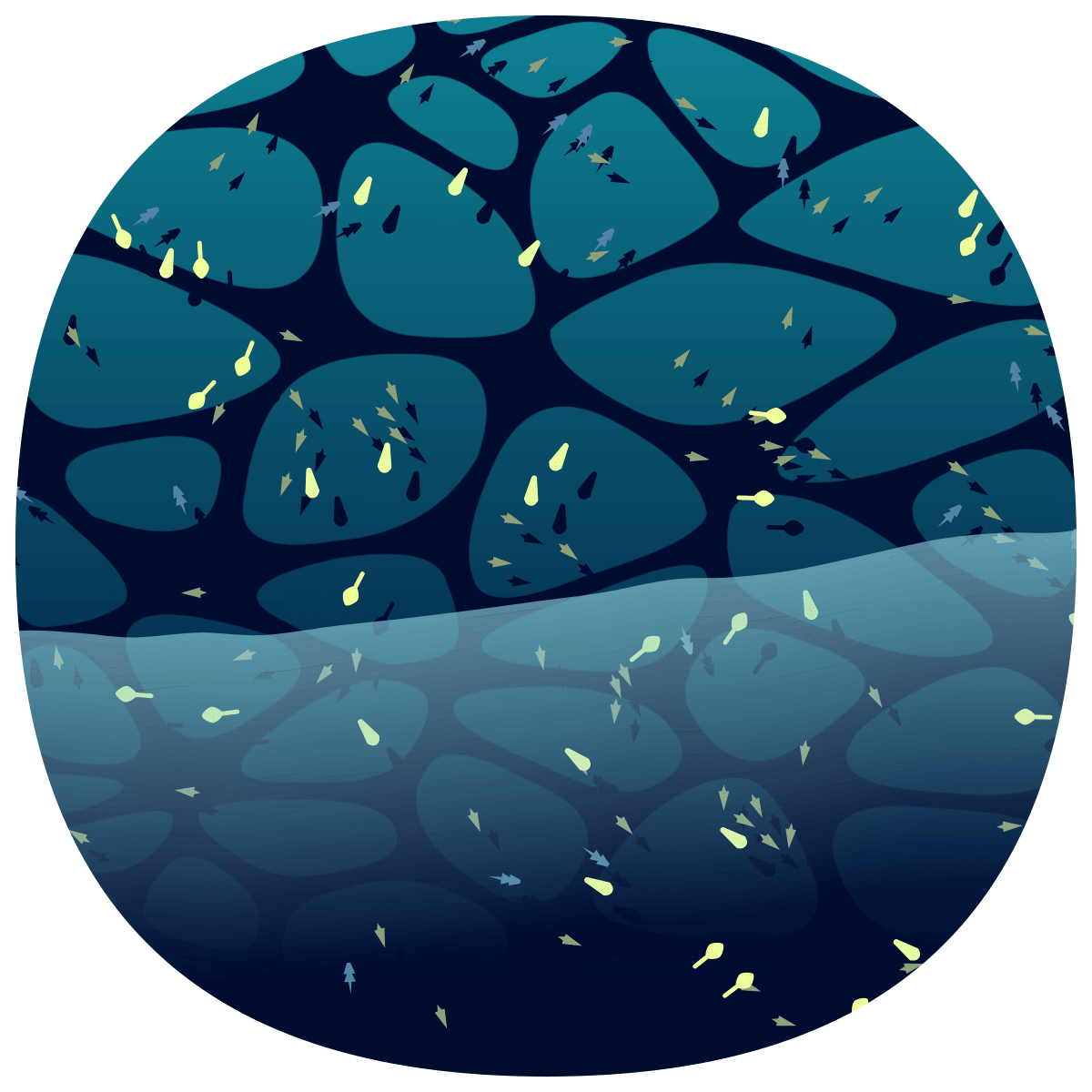 video placeholder image