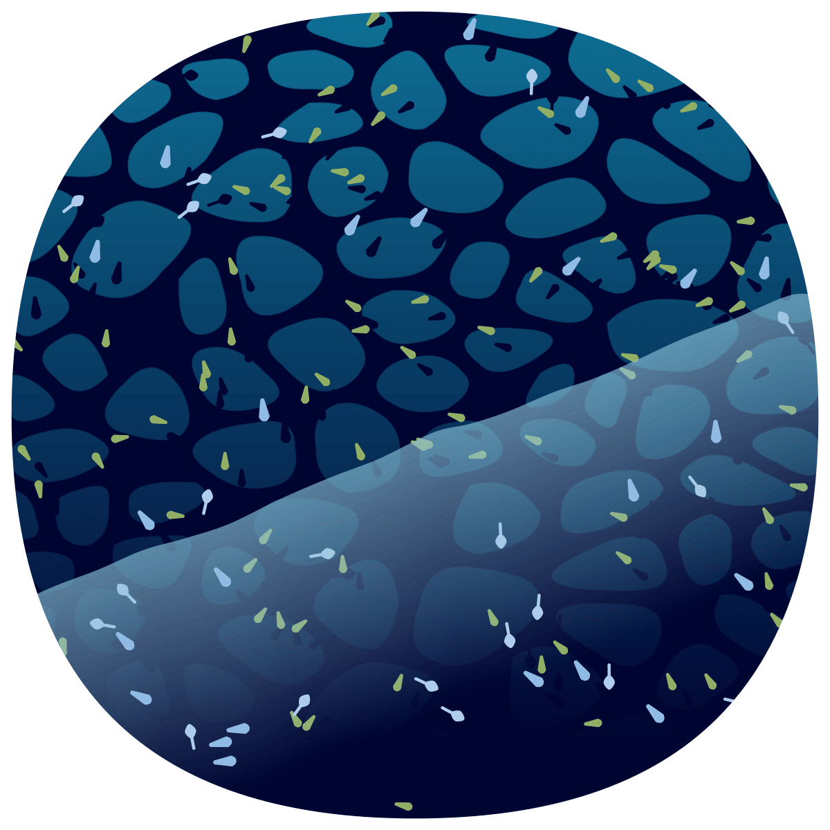 video placeholder image
