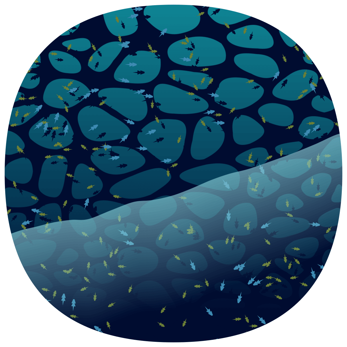 video placeholder image