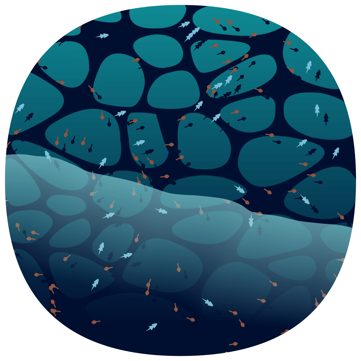 video placeholder image