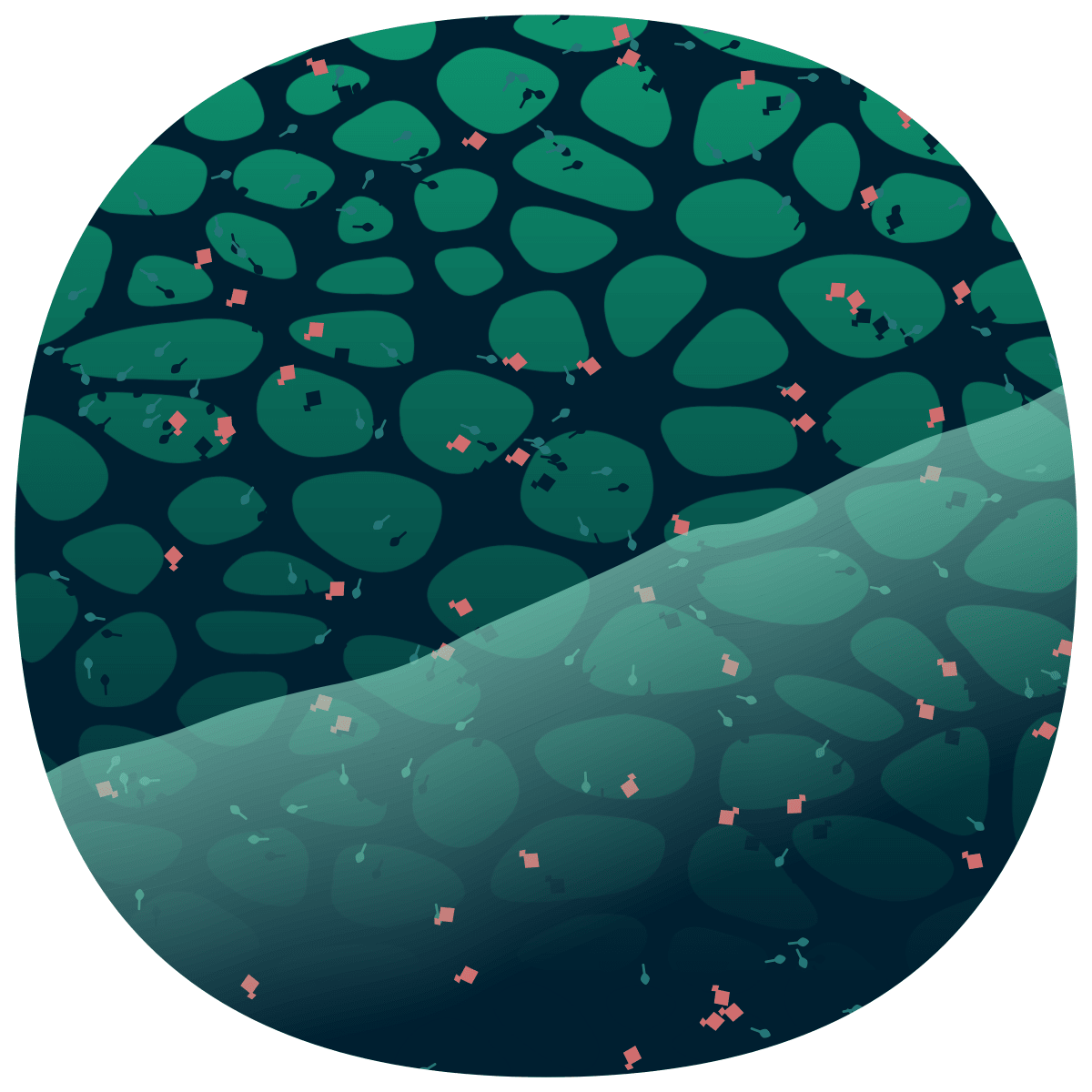 video placeholder image