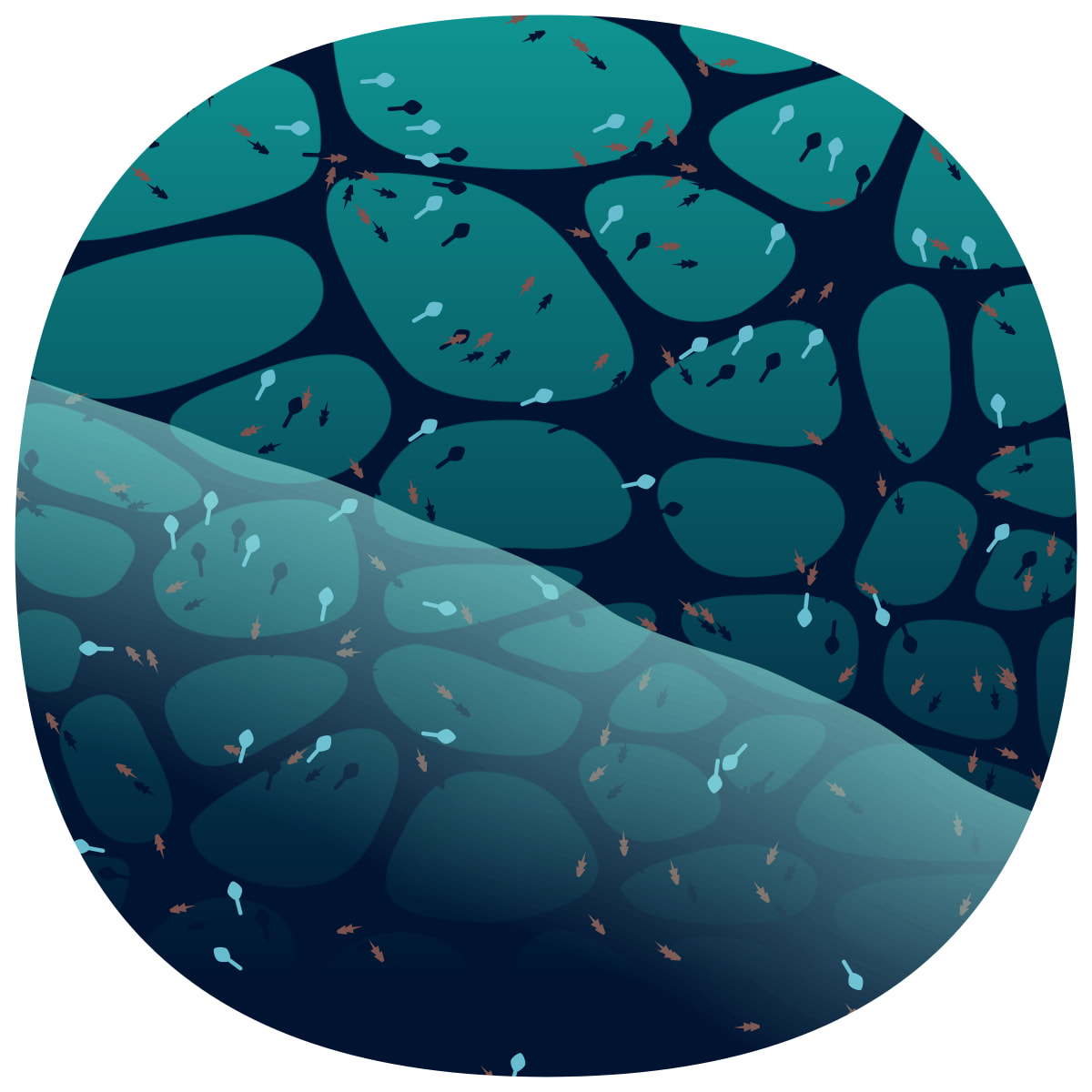 video placeholder image