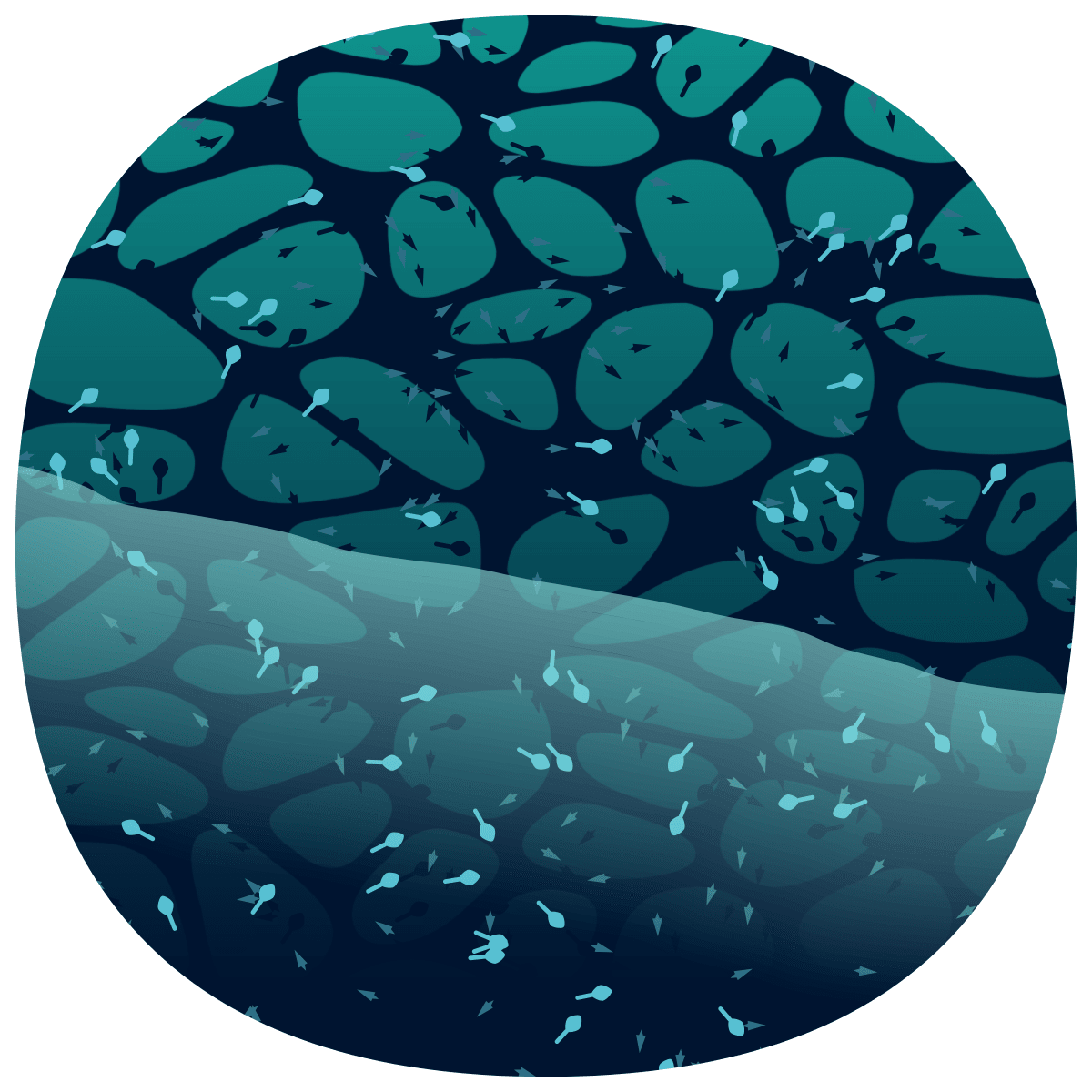 video placeholder image
