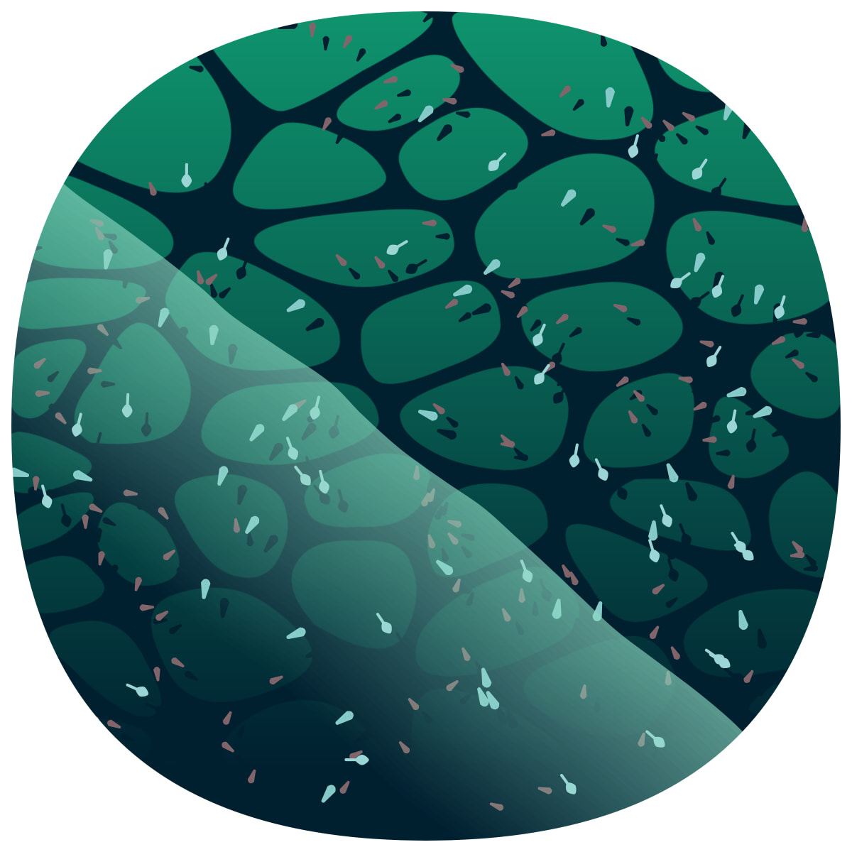 video placeholder image