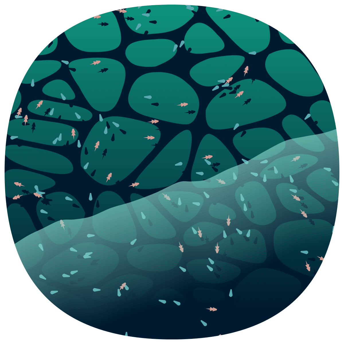video placeholder image