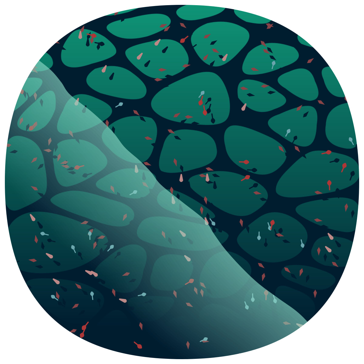 video placeholder image