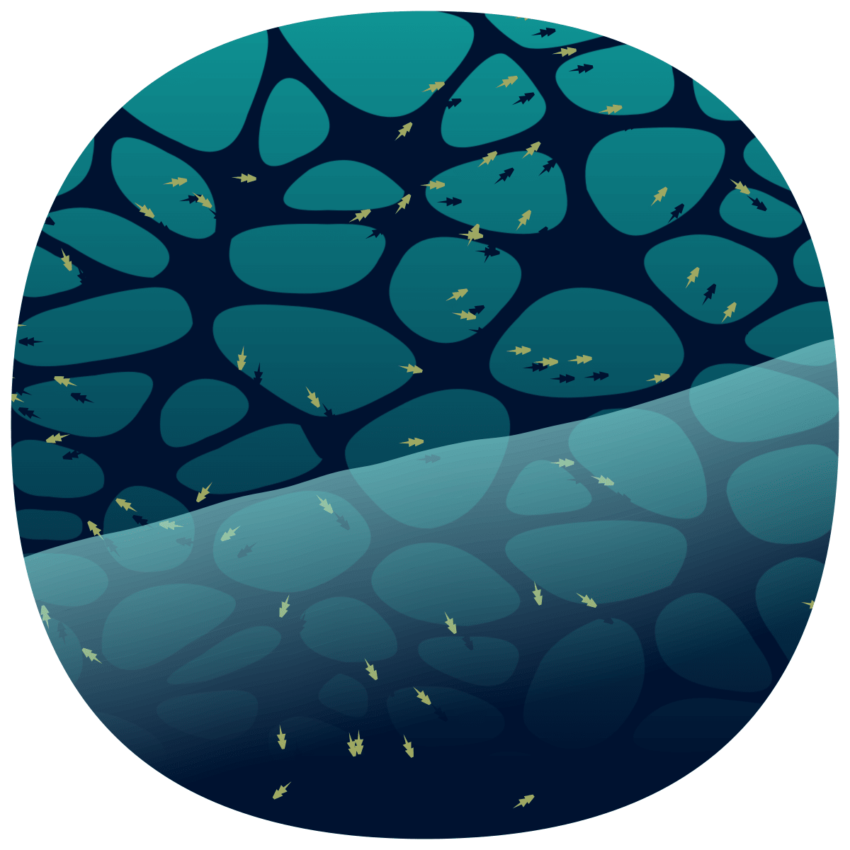 video placeholder image