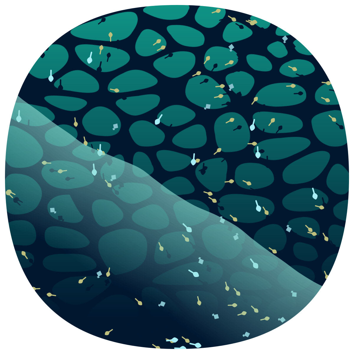 video placeholder image