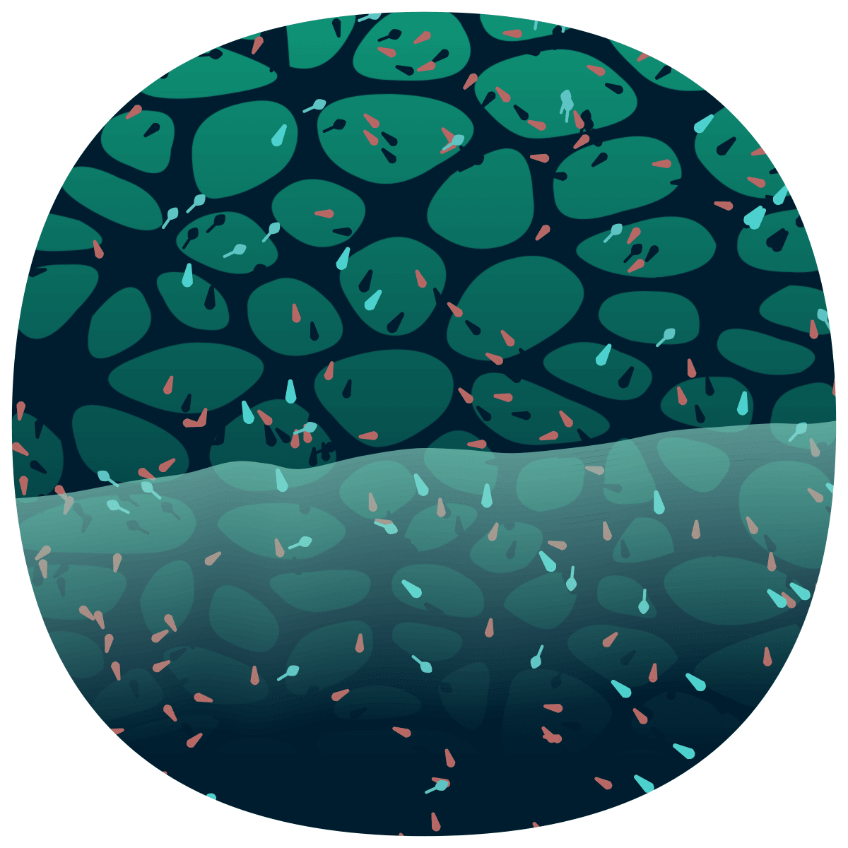 video placeholder image