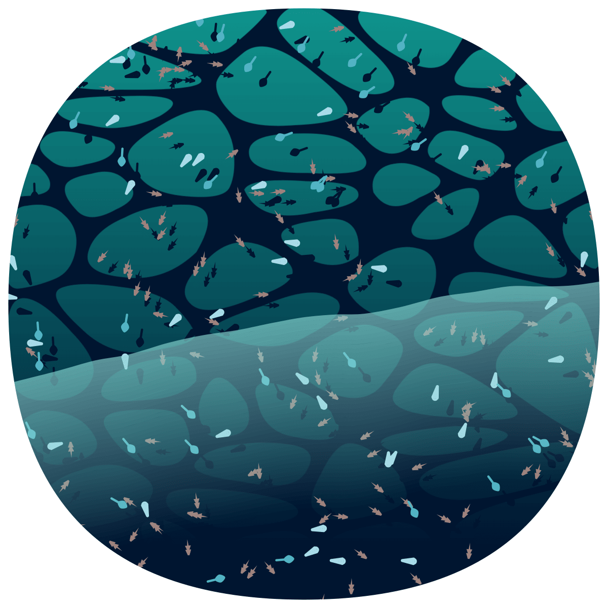 video placeholder image