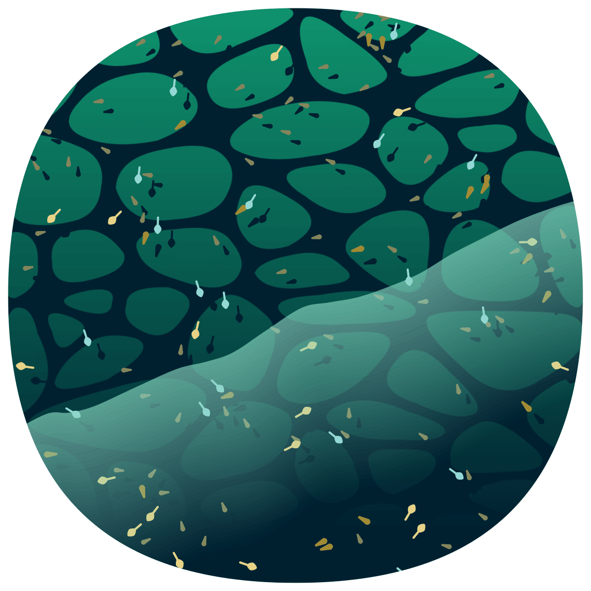 video placeholder image