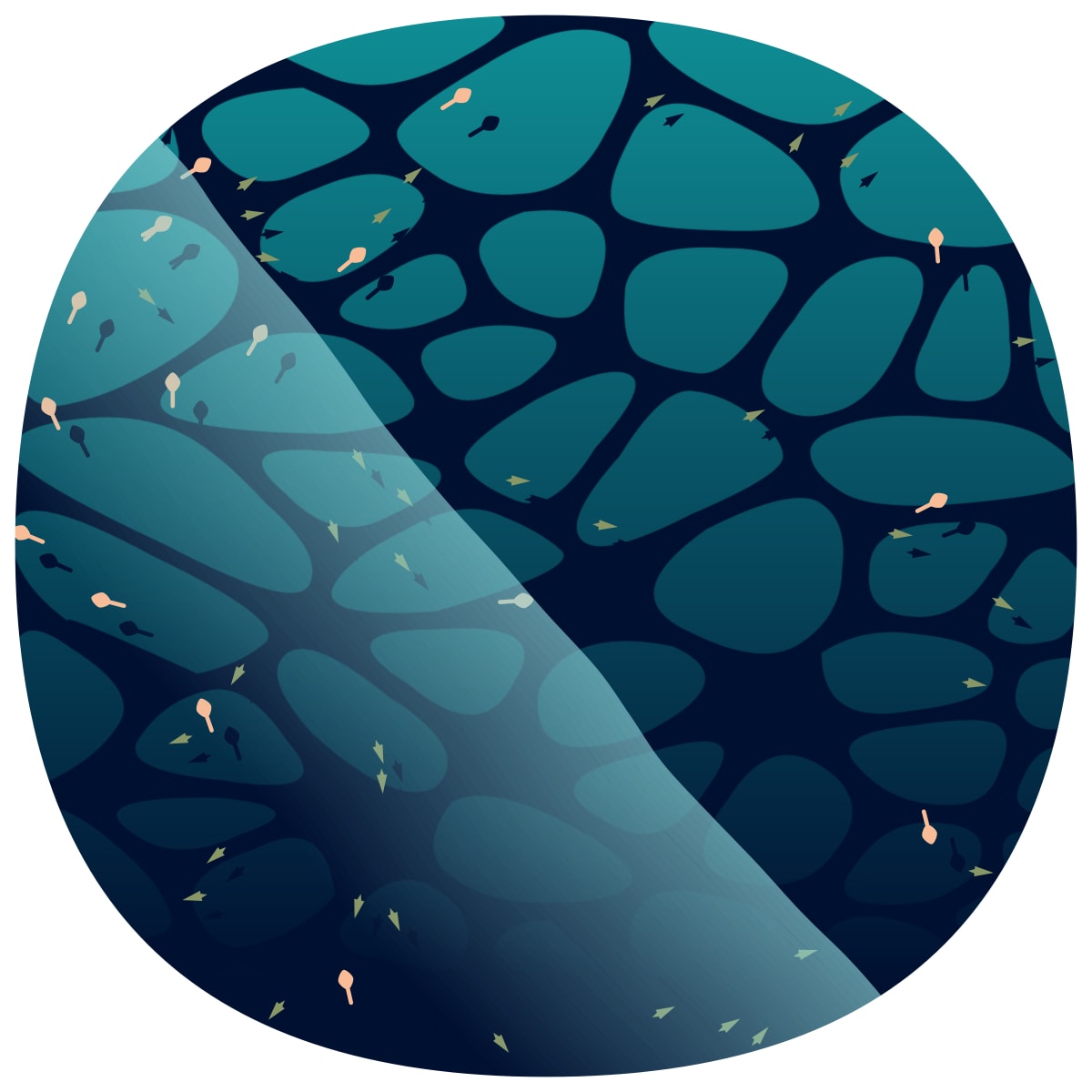 video placeholder image