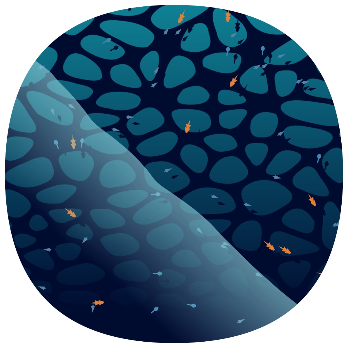 video placeholder image