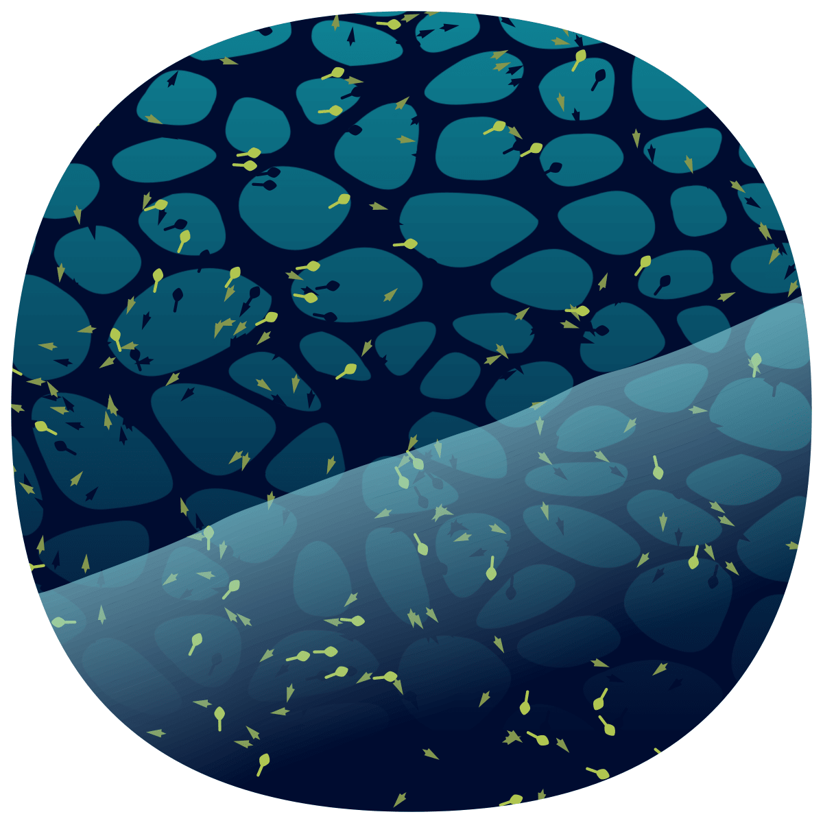 video placeholder image