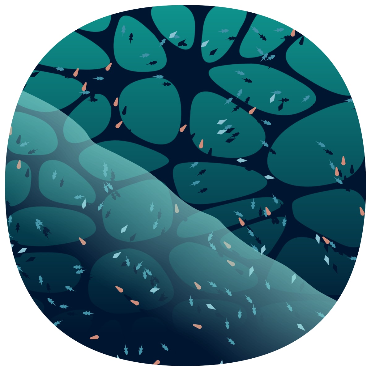 video placeholder image