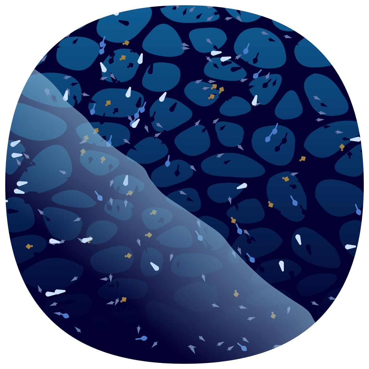 video placeholder image