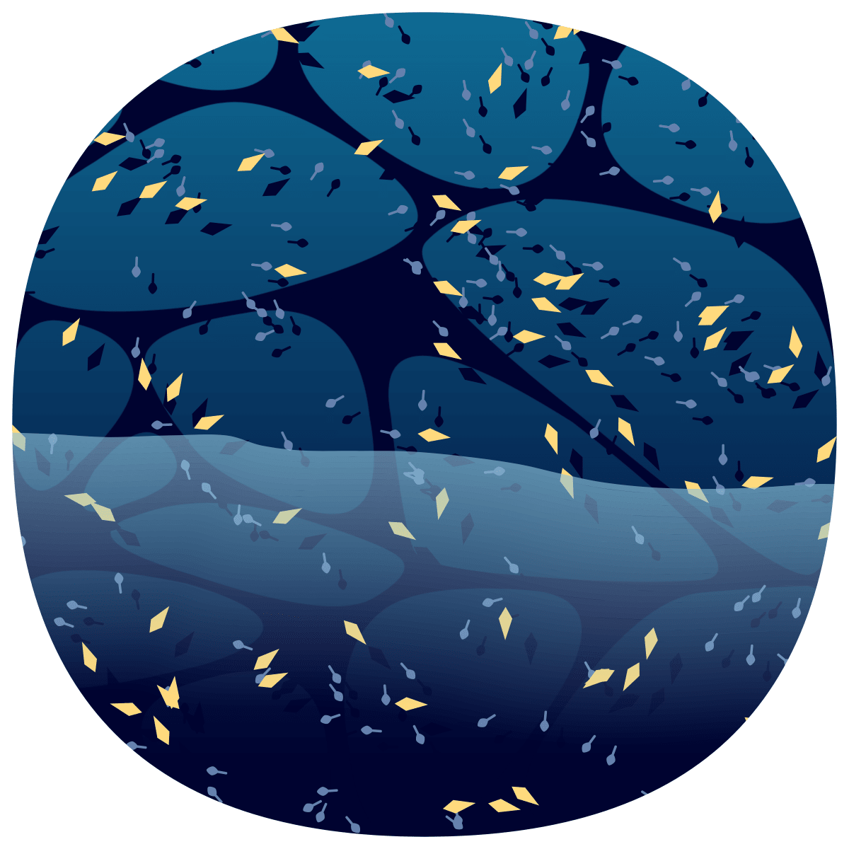 video placeholder image
