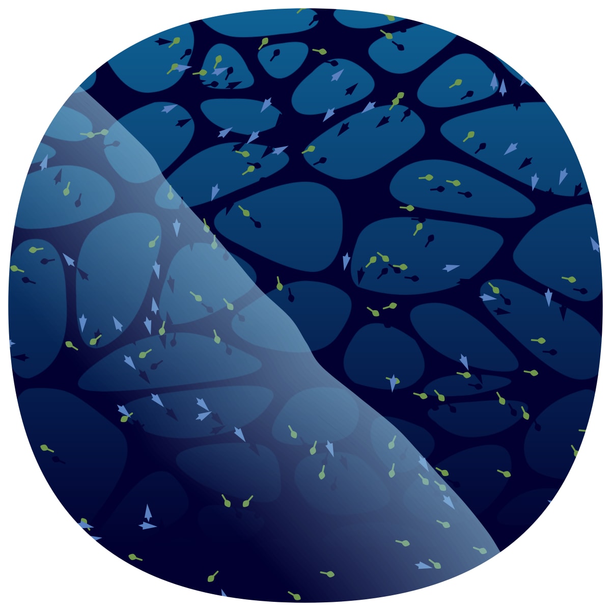 video placeholder image