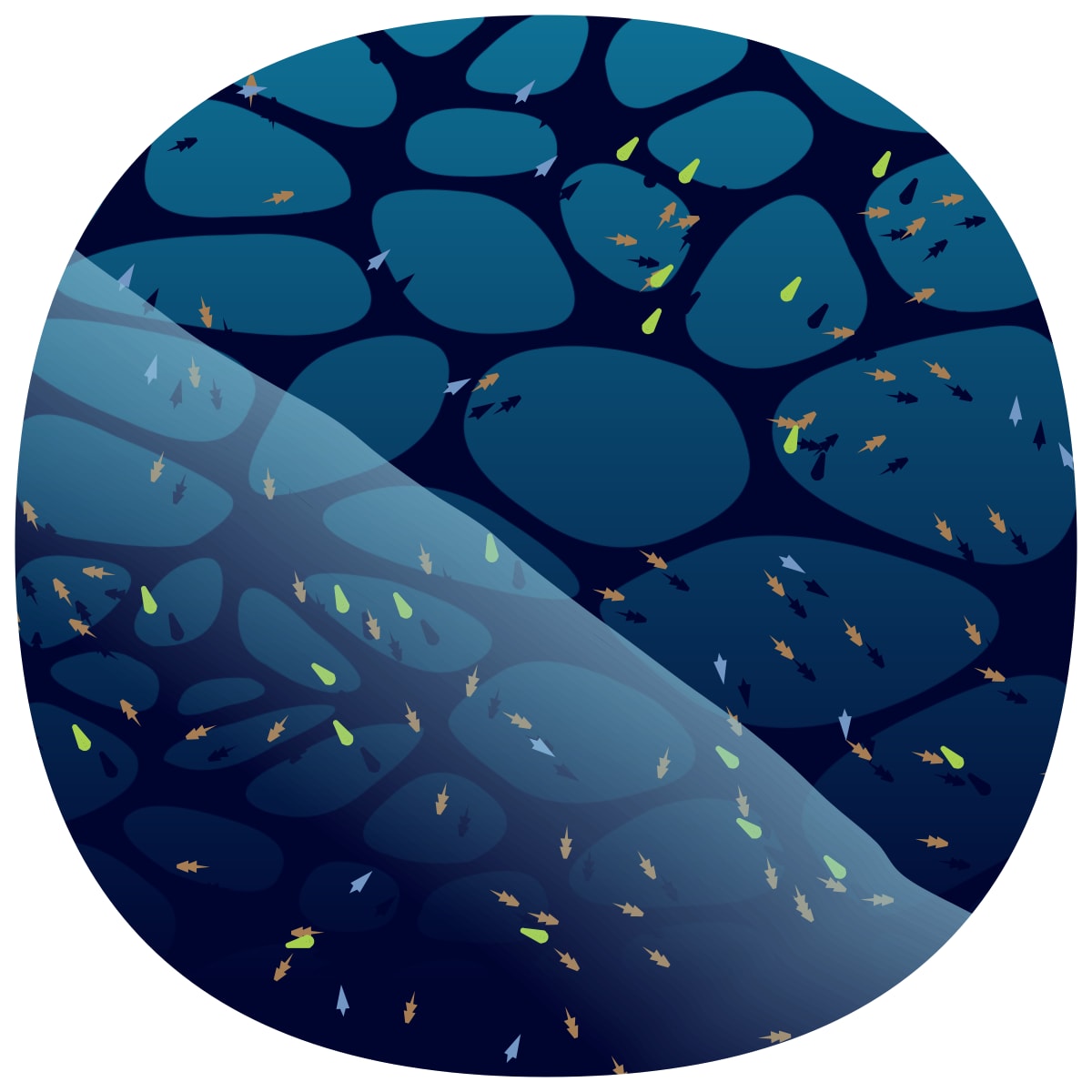 video placeholder image