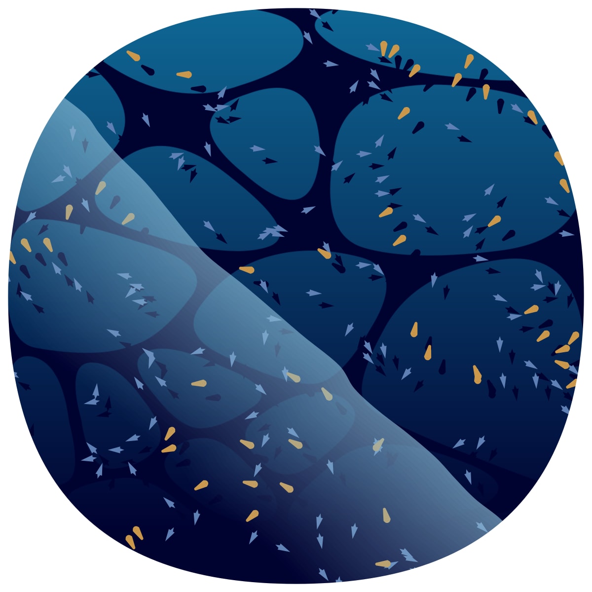 video placeholder image