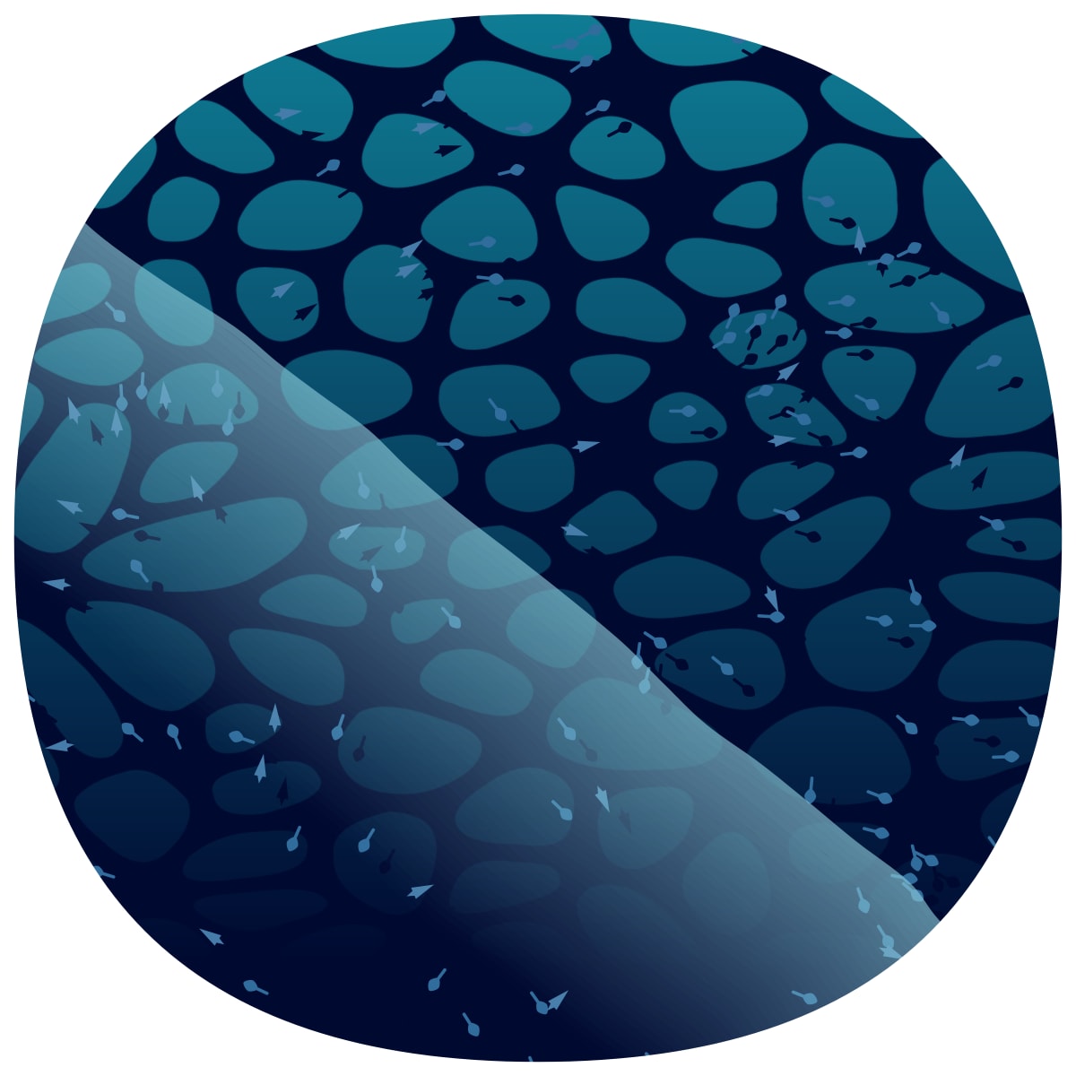 video placeholder image
