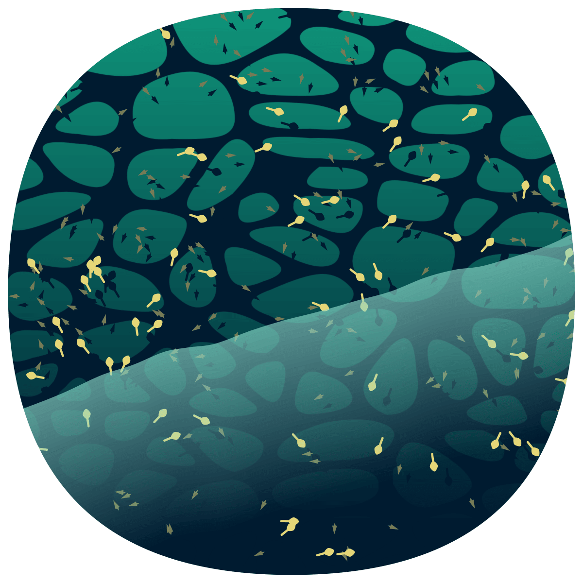 video placeholder image