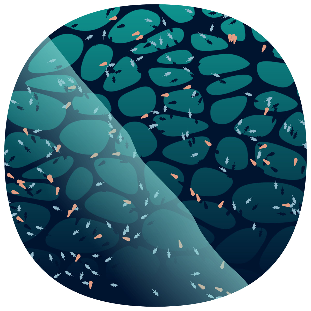 video placeholder image