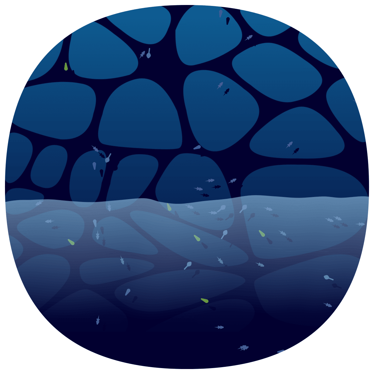 video placeholder image