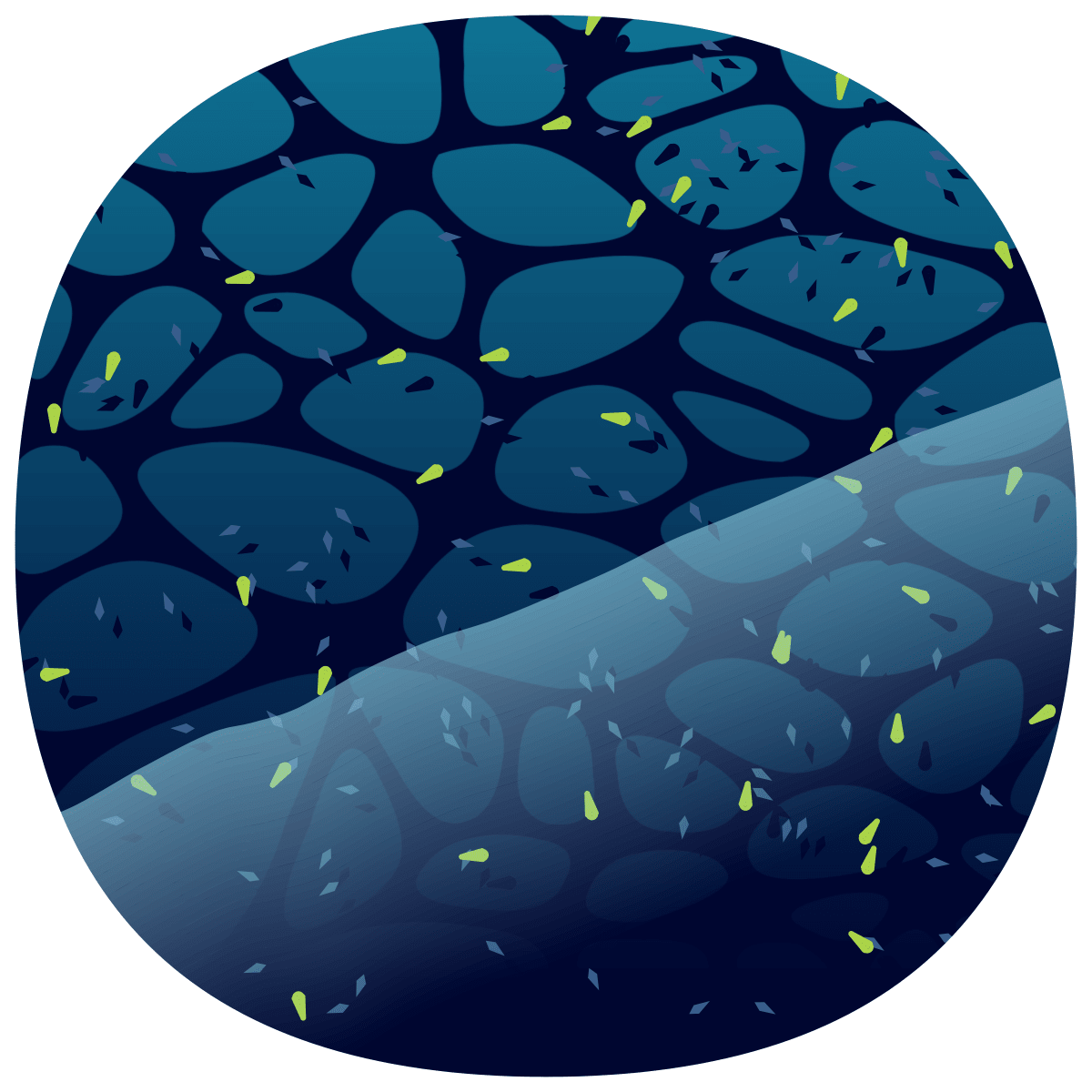 video placeholder image