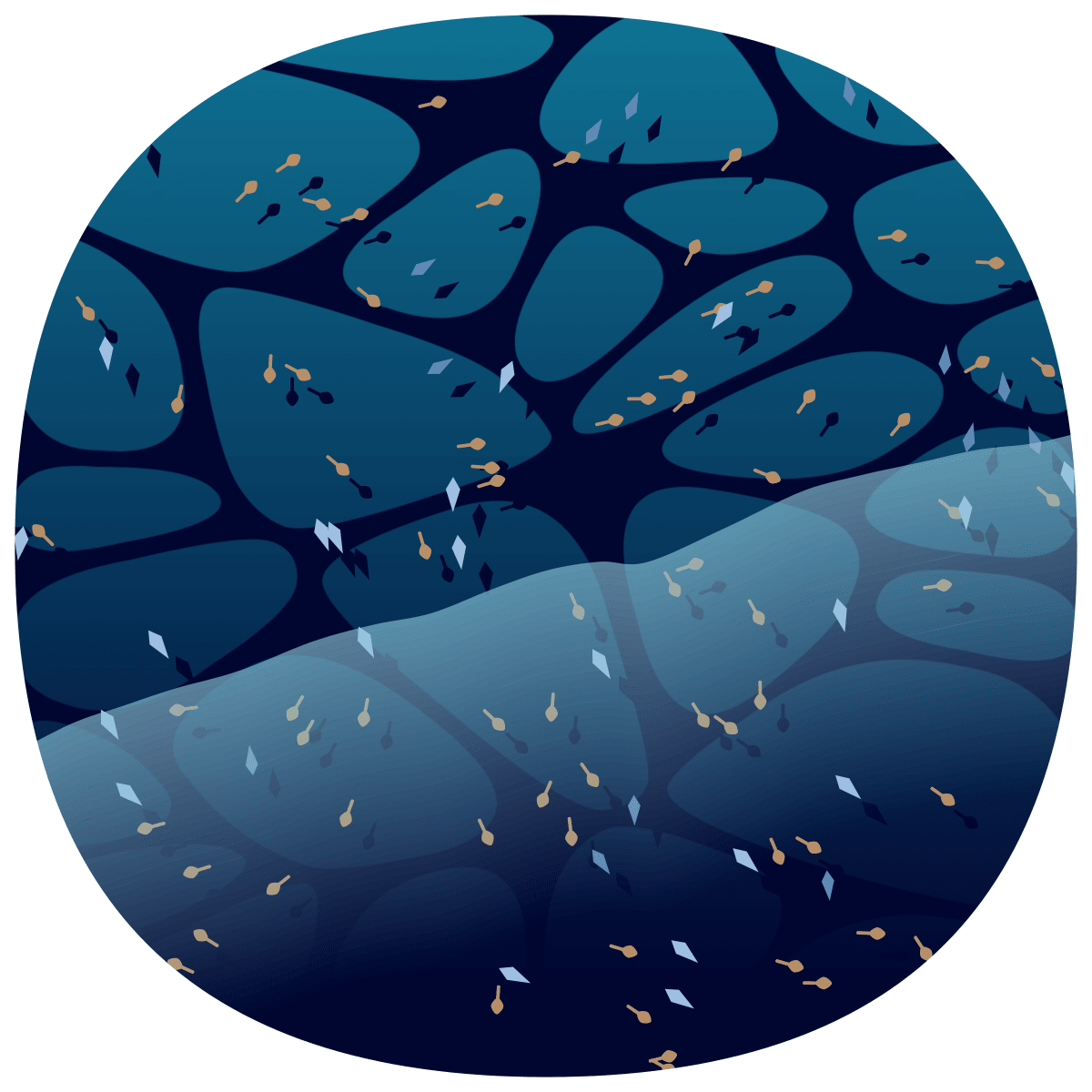 video placeholder image
