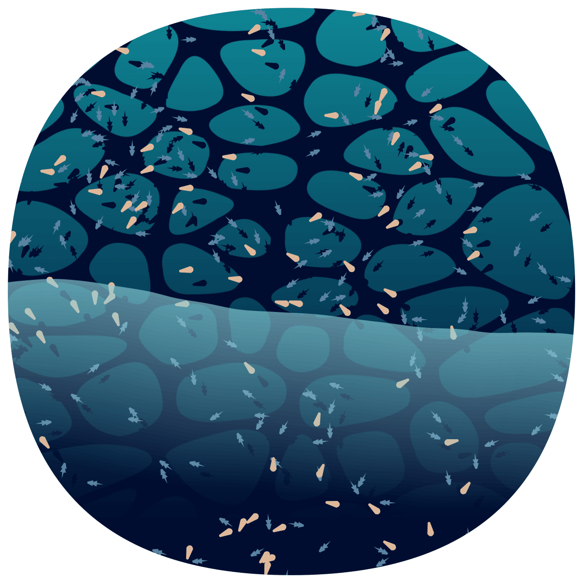 video placeholder image