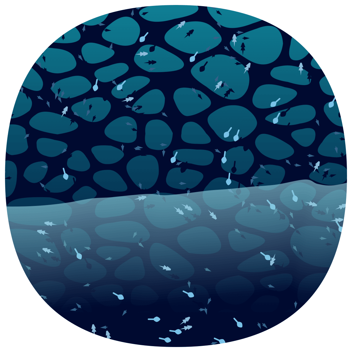 video placeholder image