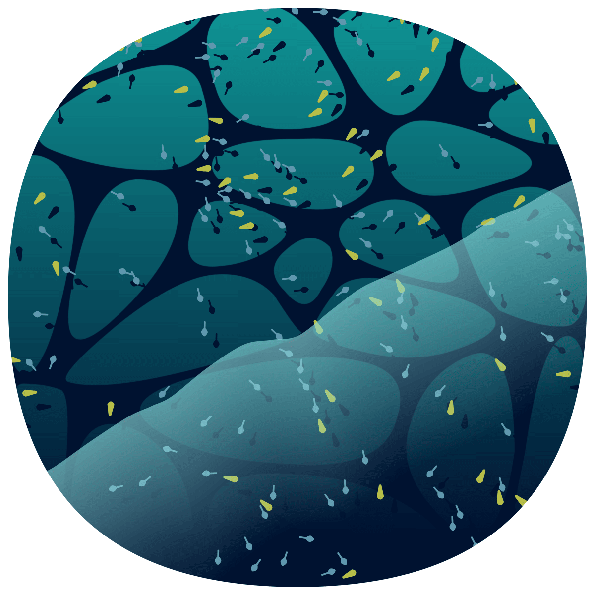 video placeholder image
